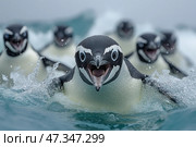 A group of penguins emerge noisily from the water. The central penguin is in focus, his beak open, eyes wide, creating a sense of energy, excitement, or even a comical cry. Behind him are other penguins, only adding to the sense of movement and collective action. The splashing water and perspective make the shot very lively, almost cinematic. The scene can be associated with adventure, exploration, or simply playing in arctic water. Стоковое AI-изображение, AI-художник Анна Кривицкая / Фотобанк Лори