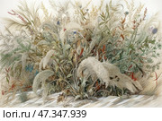 A detailed botanical illustration depicting a lush bunch of meadow grasses, cereals and dried flowers growing on sandy or steppe soil. Among the many shades of green, beige, gray and brown, one can distinguish panicle inflorescences, thin ears, fluffy grasses, as well as inclusions of small bright flowers - blue, red, burgundy. The illustration is executed with scientific accuracy, with a soft watercolor color palette. The composition conveys the beauty of natural wildness, modesty and seasonal withering. Стоковое AI-изображение, AI-художник Анна Кривицкая / Фотобанк Лори