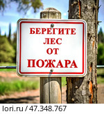 У входа в лес стоит баннер с надписью "Берегите лес от пожара" Стоковое AI-изображение, AI-художник Александр Бушков / Фотобанк Лори