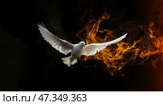 White dove flying amidst flames in dramatic dark setting, symbolizes the Holy Spirit, Pentecost and peace. Стоковое AI-изображение, AI-художник Olga Didraga / Фотобанк Лори