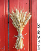 Wheat Sheaf Tied With Twine Against a Rustic Red Wooden Background. Стоковое AI-изображение, AI-художник Юлия Гапеенко / Фотобанк Лори