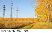 High-voltage power lines against the background of an autumn birch forest. Energy industry. Foliage in the wind. Seasonal weather. Picturesque nature in a birch grove. Electricity. Стоковое видео, видеограф Дмитрий Кобзев / Фотобанк Лори