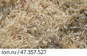 Pine shavings fall from planing wood. Wood sawdust. Woodworking industry. Стоковое видео, видеограф Дмитрий Кобзев / Фотобанк Лори