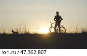 A silhouette of a man with a bicycle lifts his beloved dog to the top at sunset. Стоковое видео, видеограф Mikhail Davidovich / Фотобанк Лори