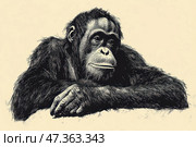 A monochrome illustration of a humanoid ape (possibly an orangutan or chimpanzee), done in a graphic style reminiscent of an engraving or linocut. The ape leans on its forelimbs, looks away with an expression of slight thoughtfulness or melancholy. Its fur is rendered in detail, with fine shading that creates a sense of volume. The composition is minimalist, the background is monochromatic, which emphasizes the figure and gives the drawing a philosophical depth. Стоковое AI-изображение, AI-художник Анна Кривицкая / Фотобанк Лори