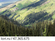 The Terskey Ala-Too in the Tian Shan mountains in Kyrgyzstan. Стоковое фото, фотограф Юлия Белоусова / Фотобанк Лори