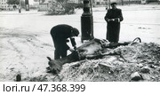 Берлинцы срезают мясо с убитой лошади у аэродрома Темпельхоф. Май 1945. Фотограф Евгений Халдей. Редакционное фото, фотограф Retro / Фотобанк Лори
