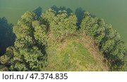 Aerial view of Indian forest and lake in Kerala. Стоковое фото, фотограф Mikhail Davidovich / Фотобанк Лори