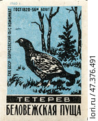 Тетерев. Серия: Беловежская пуща. Спичечные этикетки СССР. 1960. Редакционное фото, фотограф Сергей Афанасьев / Фотобанк Лори