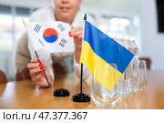 Unrecognizable girl sets midget flags of Ukraine and South Korea before international negotiations. Стоковое фото, фотограф Яков Филимонов / Фотобанк Лори