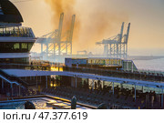 Manama, Bahrain - Jan 08 2024, Panoramic view of Bahrain commercial port with blue cranes, with upper deck of MSC Virtuosa cruise ship on foreground, by the morning, dawn, sunrise, Manama, Bahrain. Редакционное фото, фотограф Сергей Богомяко / Фотобанк Лори