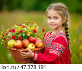 A little girl in a Russian sarafan with a basket of fresh ripe apples. August 19 – Transfiguration of the Lord, or Apple Savior – one of the first harvest holidays; the day from which, according to legend, nature moved from summer to autumn and winter. Стоковое AI-изображение, AI-художник Сергей Елизарьев / Фотобанк Лори