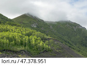 Хребет Жданко, остров Сахалин. Стоковое фото, фотограф Вячеслав Иванов / Фотобанк Лори