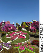 Парк цветов в Дубае (Dubai Miracle Garden) (2024 год). Редакционное фото, фотограф Ирина Гильмуллина / Фотобанк Лори