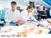 Positive salesman demonstrating tuna in fish store. Стоковое фото, фотограф Яков Филимонов / Фотобанк Лори