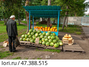 Россия: уличная торговля арбузами и дынями. (2011 год). Редакционное фото, фотограф Евгений Романов / Фотобанк Лори