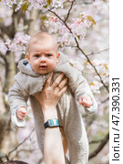 A charming boy in nature among flowering trees. A 4-month-old child looks at the camera and smiles. Family, pregnancy and childbirth. Стоковое фото, фотограф Photojuli / Фотобанк Лори