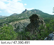 Скалы в Карадагском заповеднике в Крыму (2013 год). Редакционное фото, фотограф Николай Рыбин / Фотобанк Лори