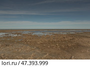 Grassy marshes in front of the Aral sea, the sea goes into the horizon. Стоковое фото, фотограф Ольга Гордеева / Фотобанк Лори