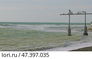A picturesque coastal landscape with a rippling sea, overcast sky and a few birds perched on a metal structure. Winter Black Sea. Стоковое видео, видеограф Воловодов Владимир / Фотобанк Лори