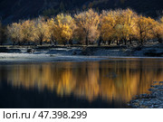 Алтай. Осень на реке. Стоковое фото, фотограф Павел Степанов / Фотобанк Лори