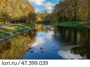 Средний Лианозовский пруд в Лианозовском парке культуры и отдыха осенним солнечным днем. Москва. Стоковое фото, фотограф Pukhov K / Фотобанк Лори