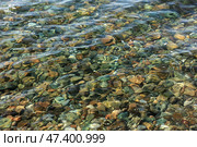 Прозрачная морская вода, камушки на дне. Стоковое фото, фотограф Римма Тельнова / Фотобанк Лори