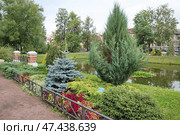 Карякинский сад в Рыбинске. Ярославская область, Россия (2024 год). Стоковое фото, фотограф Елена Коромыслова / Фотобанк Лори