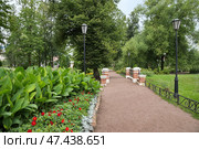 Дорожка и мостик в Карякинском саду в городе Рыбинске. Ярославская область, Россия (2024 год). Стоковое фото, фотограф Елена Коромыслова / Фотобанк Лори