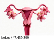 Female reproductive system with ovaries and flowers. 3D illustration. Стоковое AI-изображение, AI-художник Васильева Юлия / Фотобанк Лори