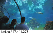 Barcelona, Spain - August 5, 2018: Tourists visits Barcelona Aquarium. Aquarium located in Port Vell, a harbor in Barcelona, Catalonia, Spain. Редакционное видео, видеограф Mikhail Davidovich / Фотобанк Лори