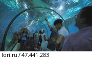 Barcelona, Spain - August 5, 2018: Tourists visits Barcelona Aquarium. Aquarium located in Port Vell, a harbor in Barcelona, Catalonia, Spain. Редакционное видео, видеограф Mikhail Davidovich / Фотобанк Лори