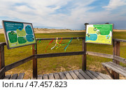 BAIKAL LAKE, KHUZHIR VILLAGE, IRKUTSK REGION, RUSSIA - August 03, 2024: Posters with descriptions of animals and birds of Olkhon Islands on ecological trail Saray Ring on beach of Saraiskiy Bay. Редакционное фото, фотограф Виктория Катьянова / Фотобанк Лори