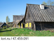 Деревенская улица со старыми деревянными домами. Псковская область (2022 год). Стоковое фото, фотограф Анна Карасева / Фотобанк Лори