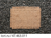 Frame made of burlap with the line lies on  sunflower seeds. Стоковое фото, фотограф Александр Собко / Фотобанк Лори