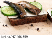 Sandwich black bread with sprats, cheese, cucumber and herbs. Snack for vodka. Стоковое фото, фотограф Евгений Ткачёв / Фотобанк Лори