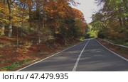 Winding road through autumn forest. Стоковое видео, видеограф Михаил Коханчиков / Фотобанк Лори