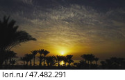 Palms on resort beach and sunrise over sea. Стоковое видео, видеограф Михаил Коханчиков / Фотобанк Лори