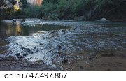 Cascading water flowing over rocky riverbed, mirroring verdant greenery and sandstone cliffs along Virgin River in Zion National Park. Стоковое видео, видеограф Данил Руденко / Фотобанк Лори