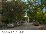 Atmosphere of one of the streets of Sevastopol. The road stretches upwards, to the horizon, beyond which the sea can be seen. On both sides of the street grow trees with green and yellowed leaves, creating a natural arch above the road. Along the edges of the road are parked cars, among which you can see cars and SUVs. Along the sidewalks are installed metal fences, and on the corner of the building with a red roof you can see a sign.Old residential buildings with balconies and air conditioners are noticeable, which emphasizes the local urban style. Road signs warn of restrictions, and a pedestrian crossing leads to the opposite side of the street. In the distance on the horizon you can feel the sea air, typical of a seaside city. (2021 год). Редакционное фото, фотограф Анна Кривицкая / Фотобанк Лори