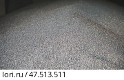 Unprocessed buckwheat groats in stock. Стоковое видео, видеограф Mikhail Davidovich / Фотобанк Лори