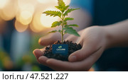 Growth in Hand: A symbol of hope for the future, the concept of sustainability and environmental stewardship for future generations. Стоковое AI-изображение, AI-художник Данила Большаков / Фотобанк Лори