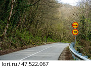 Signs forbidding overtaking and speed limits on a mountain road in the forest. Стоковое фото, фотограф Алена Аксенова / Фотобанк Лори