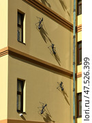 Residential House (1912) designed by architects Popov and Klein, and owned by family of lawyer Bimman. Moscow, Russia. Decorations on wall. Редакционное фото, фотограф Валерия Попова / Фотобанк Лори