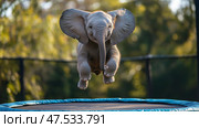 Young elephant jumps joyfully on trampoline in autumn park. Молодой слон радостно прыгает на батуте в осеннем парке. Стоковое AI-изображение, AI-художник Katsiaryna Repich / Фотобанк Лори