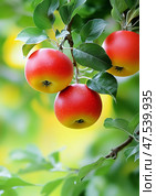 Close-up of apple tree branch with red apples against green background. Low angle. Стоковое AI-изображение, AI-художник Катерина Ковалева / Фотобанк Лори