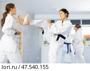 Asian female karateka honing kicking techniques during kumite. Стоковое фото, фотограф Яков Филимонов / Фотобанк Лори