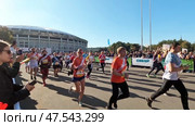 Московский марафон. Старт забега. Сентябрь. Moscow Marathon. Start of the race. September. Редакционное видео, видеограф Горшков Александр / Фотобанк Лори