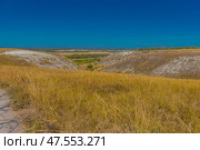 A picturesque view of chalk hills covered with dry steppe vegetation. In the foreground is tall dry grass, typical of the southern Russian steppe. Whitish stripes of chalk and sparse bushes are visible on the slopes of the hills. Below is a green valley with trees, behind it are yellow fields and a village. On the horizon, a forest and a light haze are visible. The bright blue sky without clouds emphasizes the contrast between the hills and the plain. This is probably one of the natural landscapes of the Voronezh region, for example, Divnogorye. Стоковое фото, фотограф Анна Кривицкая / Фотобанк Лори
