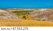 A picturesque view of chalk hills covered with dry steppe vegetation. In the foreground is tall dry grass, typical of the southern Russian steppe. Whitish stripes of chalk and sparse bushes are visible on the slopes of the hills. Below is a green valley with trees, behind it are yellow fields and a village. On the horizon, a forest and a light haze are visible. The bright blue sky without clouds emphasizes the contrast between the hills and the plain. This is probably one of the natural landscapes of the Voronezh region, for example, Divnogorye. Стоковое фото, фотограф Анна Кривицкая / Фотобанк Лори